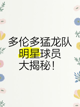 包含猛龙队实力超群，季后赛无往不利？的词条